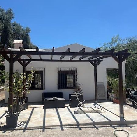 Farmhouse Surrounded By Centenary Olive Trees Olías Kültér fotó